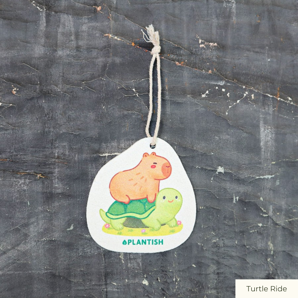 Pop-Up Sponge - Capybara Designs