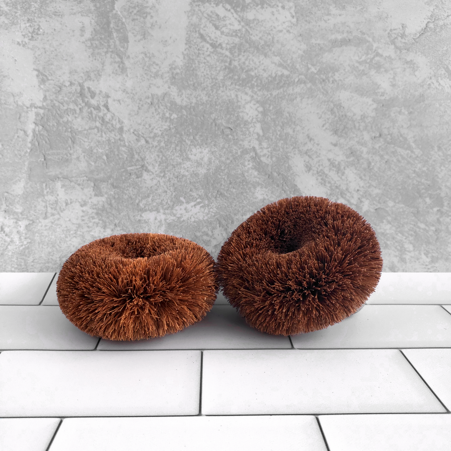 EcoCoconuts Twin Pack Scourers