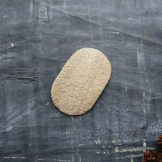 Loofah Dishwashing Sponge - Set of 2