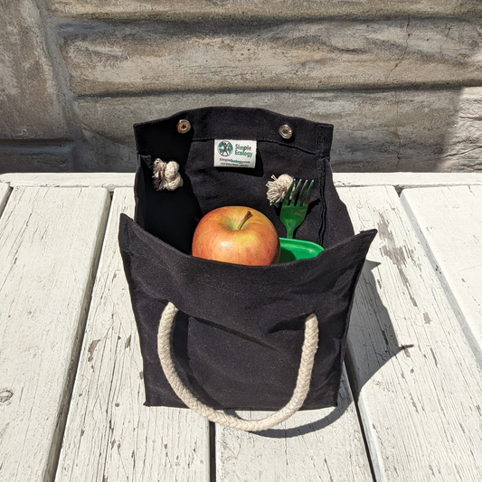 Organic Cotton Lunch Sack (With Color Options)