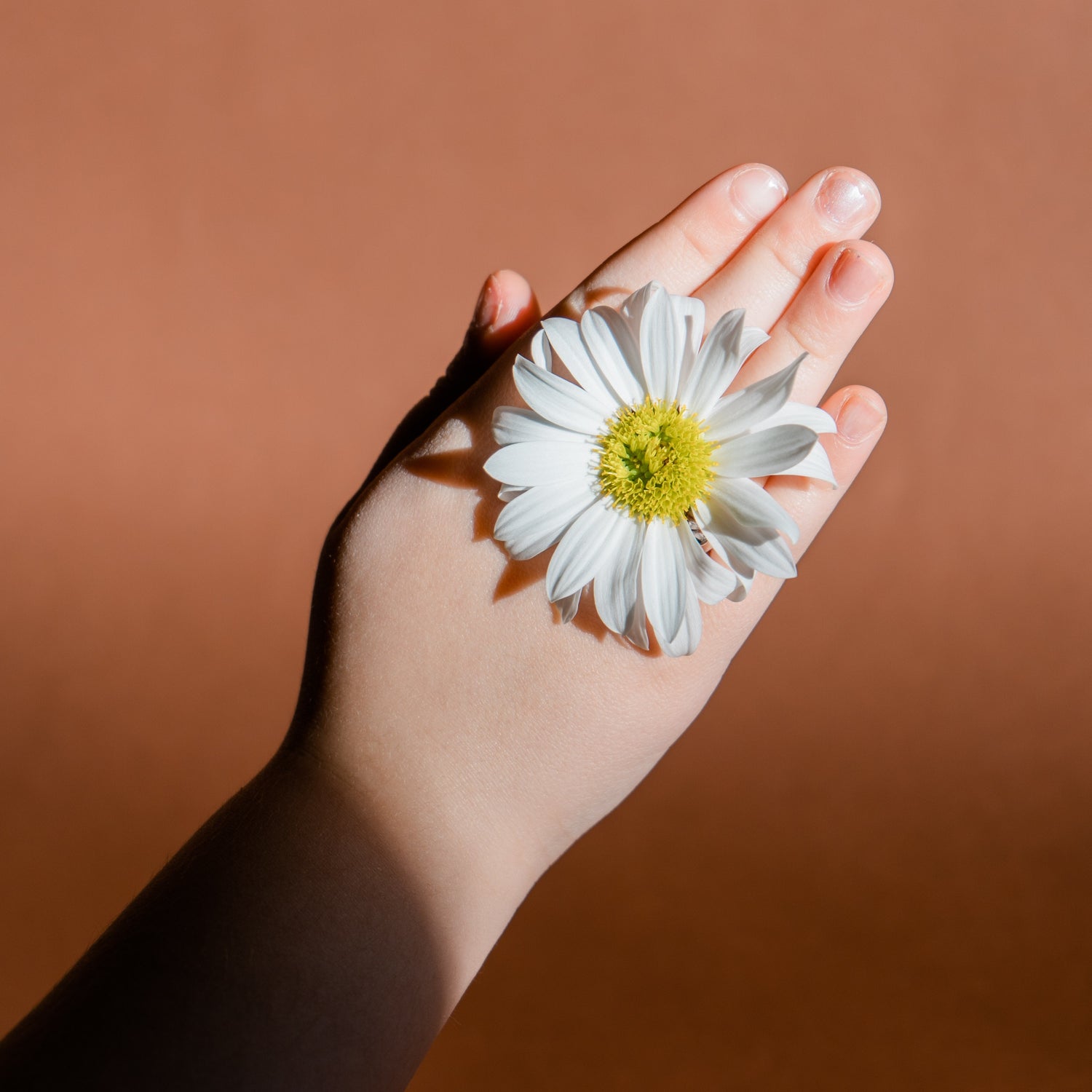 Personal Care