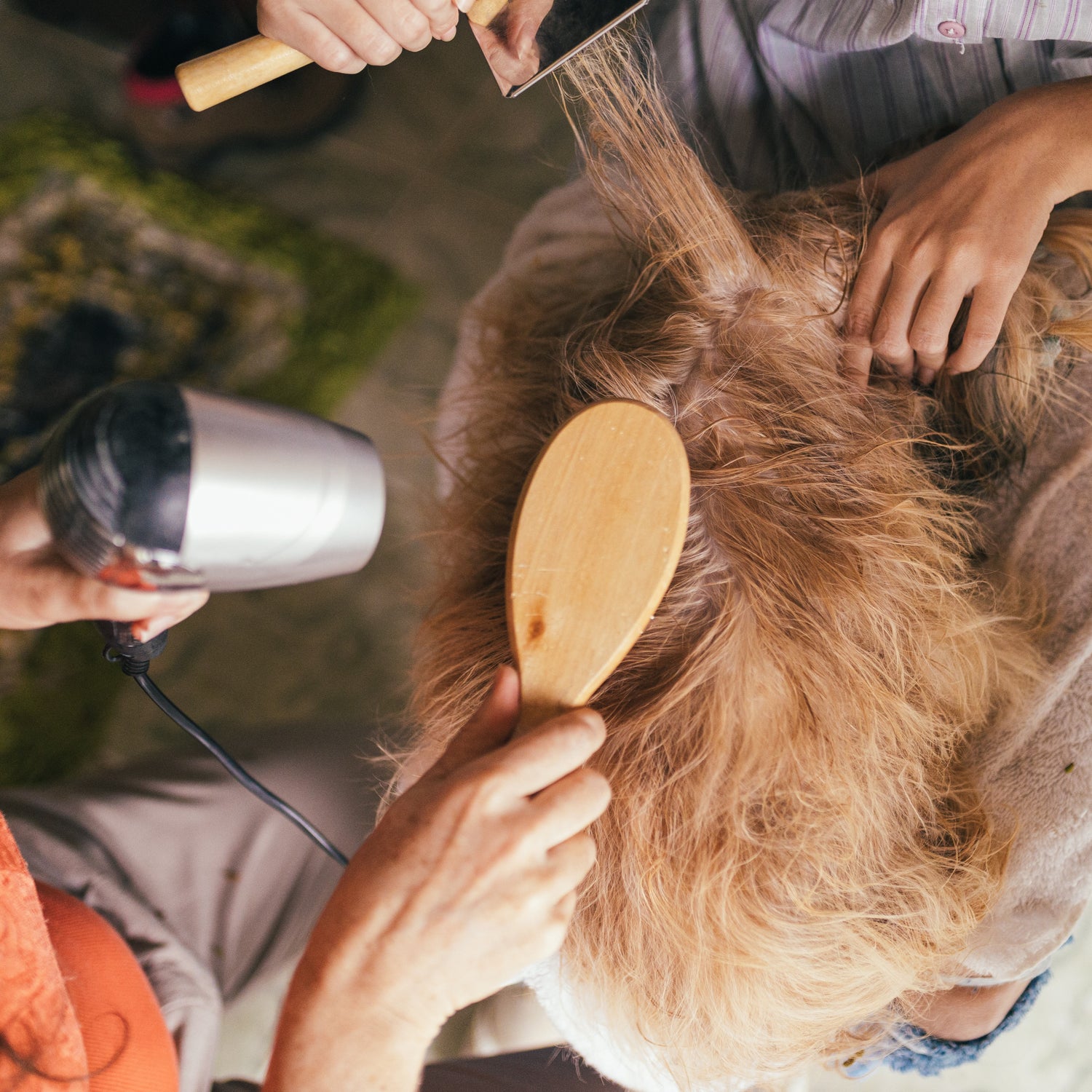 Pet Hair Care