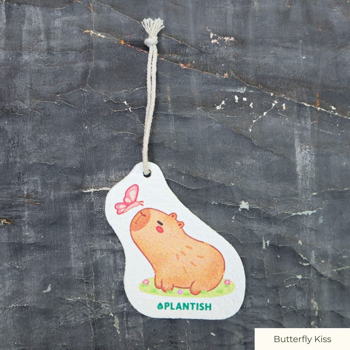 Pop-Up Sponge - Capybara Designs