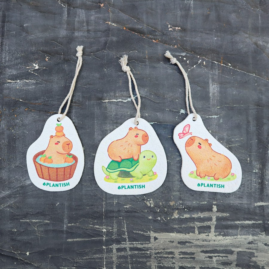 Pop-Up Sponge - Capybara Designs – The Daisy Refillery