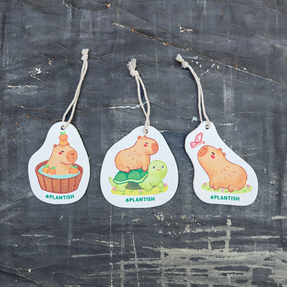 Pop-Up Sponge - Capybara Designs