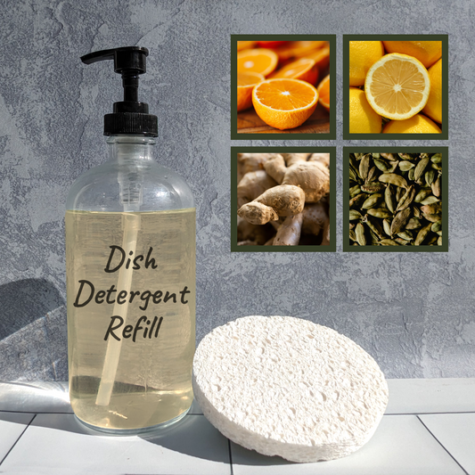 [REFILL] Citrus & Fir Dish Soap