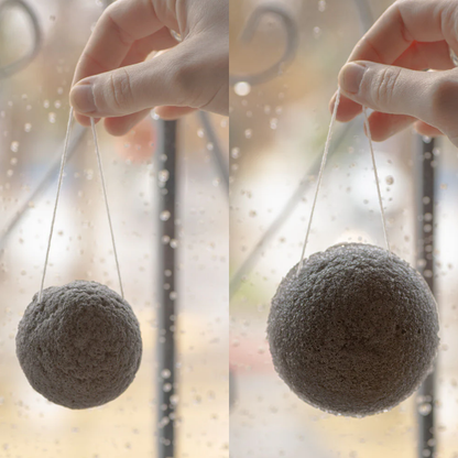 LUNA Facial Sponge - Charcoal
