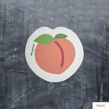 Pop-Up Sponge - Ripe and Ready Designs