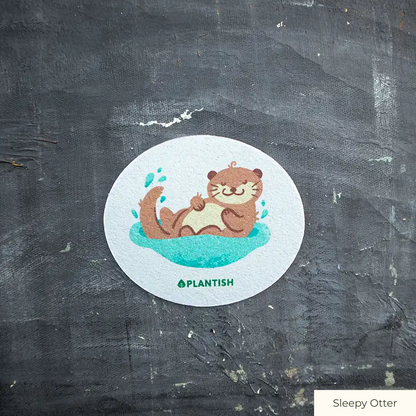 Pop-Up Sponge - Fluffy Friends Designs