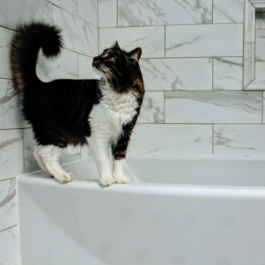 [REFILL] Pet Conditioner | Detangling + Softing - Unscented + Hypoallergenic