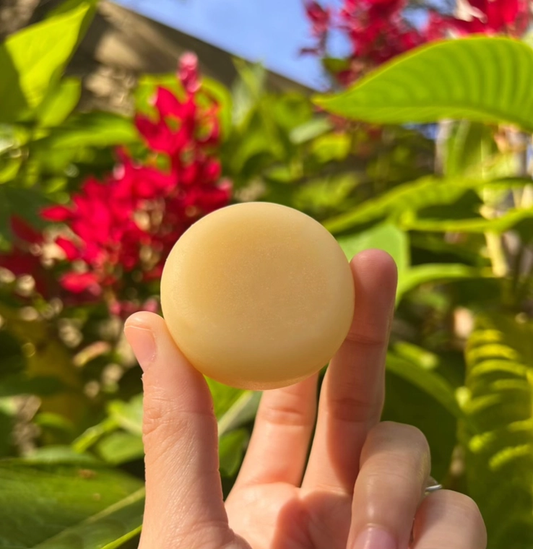 [FUN SIZE] Haven Conditioner Bar (For All Curl Types)