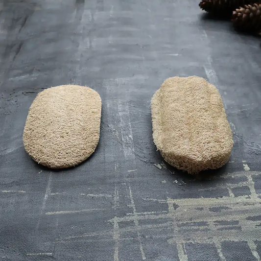 Loofah Dishwashing Sponge - Set of 2