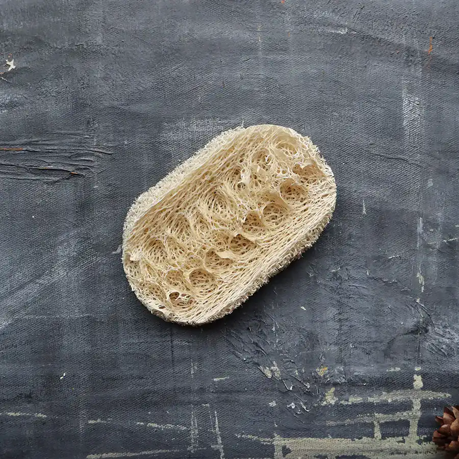 Loofah Dishwashing Sponge - Set of 2